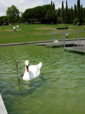 parc de catalunya